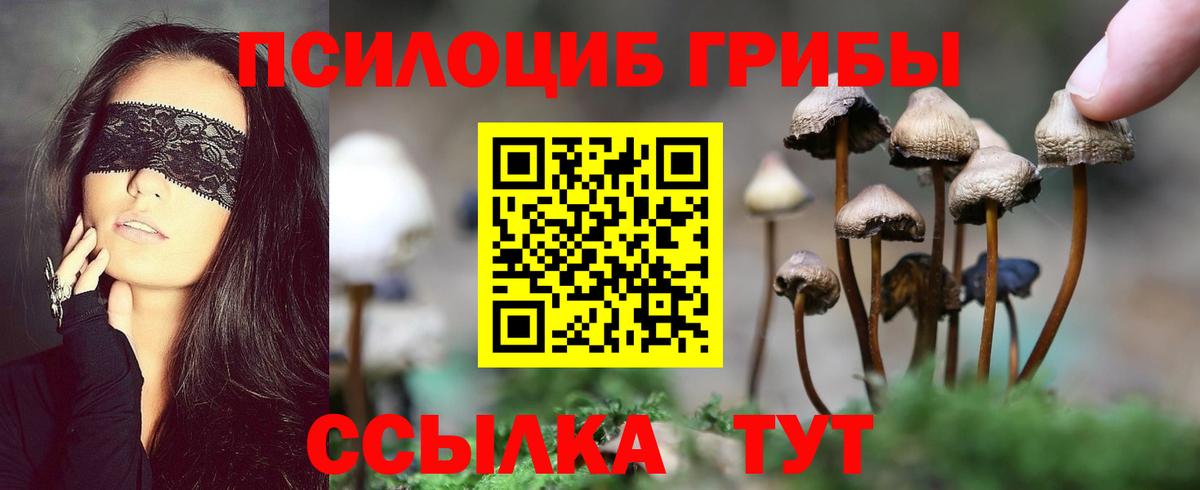 Саранск  Псилоцибиновые грибы ЛСД  Вход с VPN 